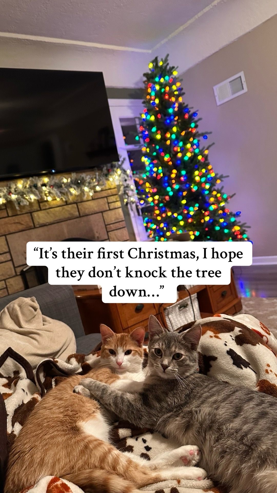 Video post by @isabellmariephotography on TikTok