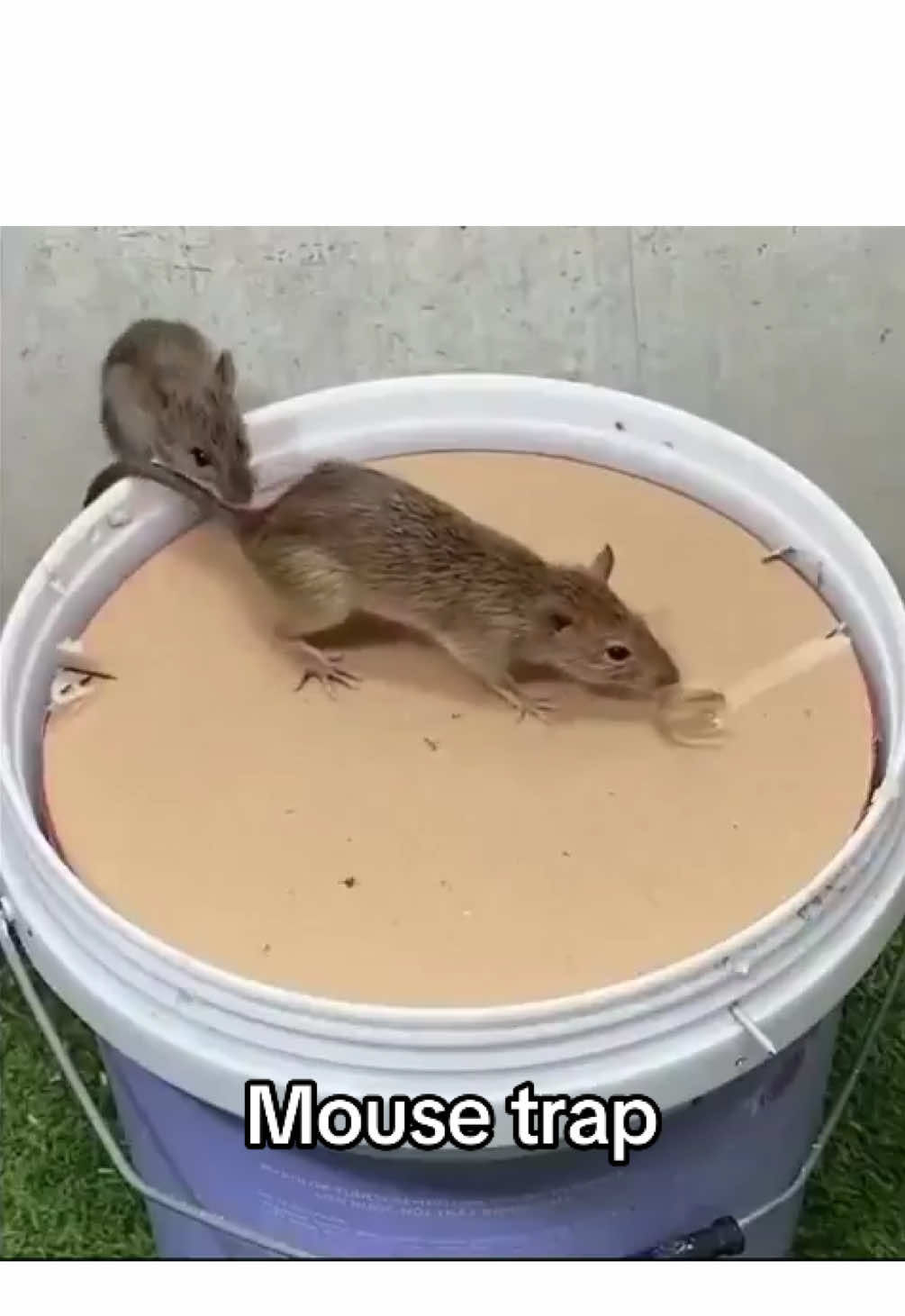 Video post by @overtime on TikTok