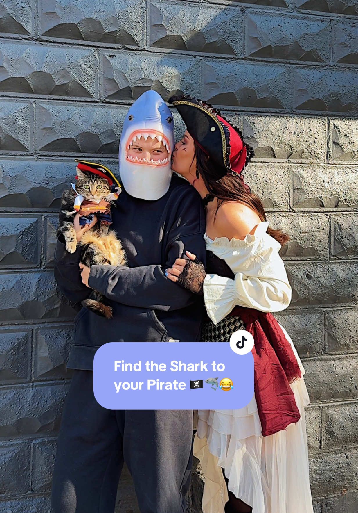 Video post by @chloevmitchell on TikTok