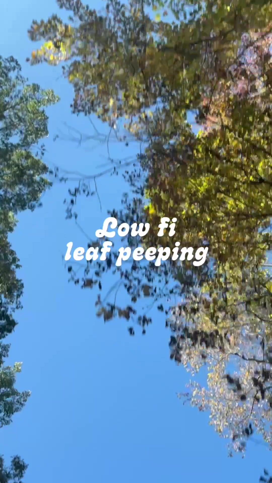 Video post by @pbs on TikTok