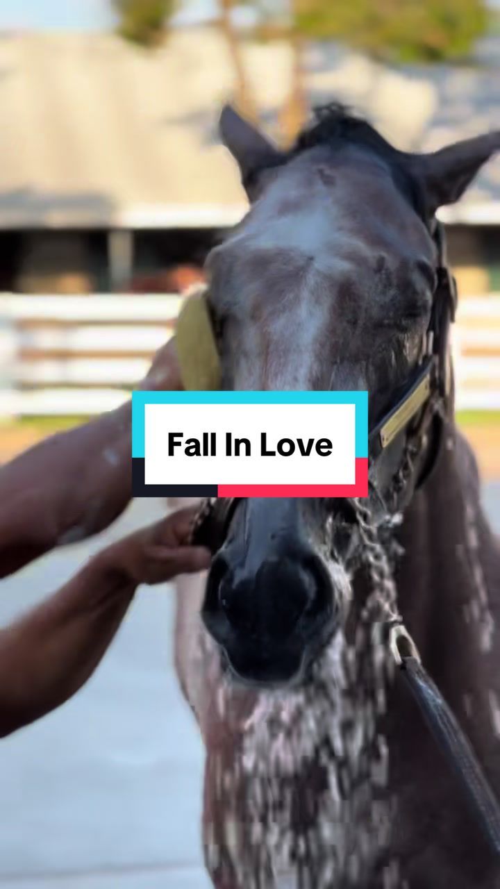 Video post by @spendthriftfarm on TikTok