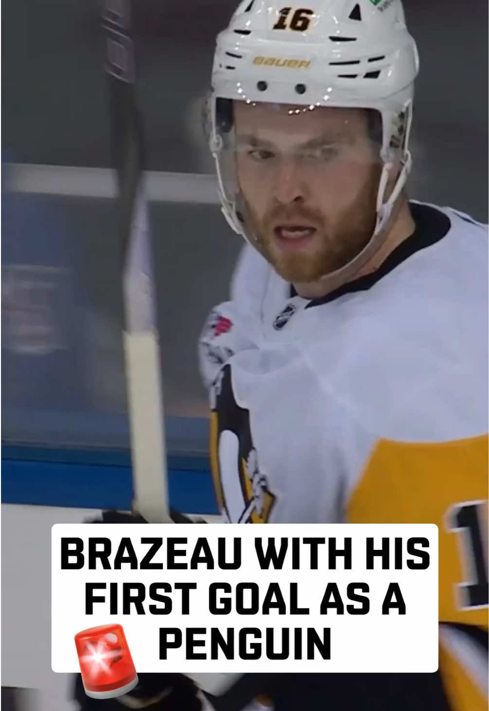 Video post by @penguins on TikTok