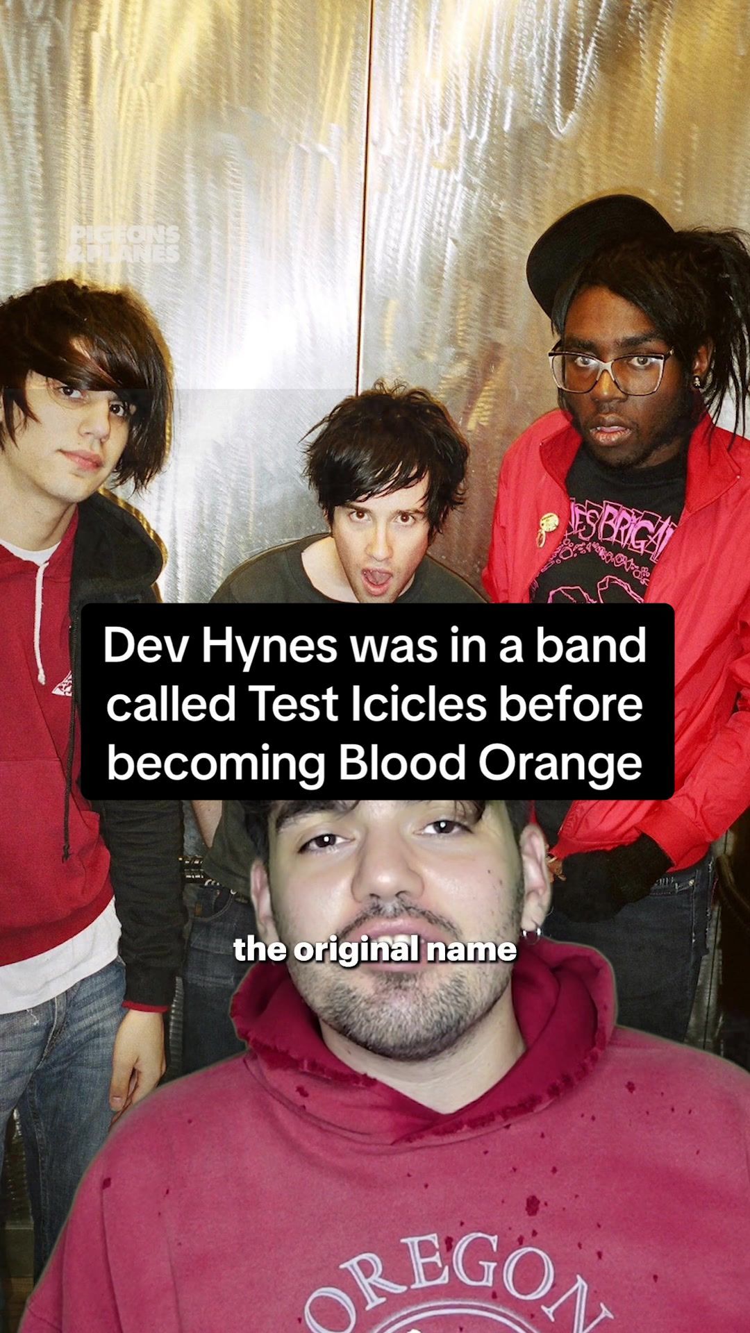 Video post by @pigsandplans on TikTok