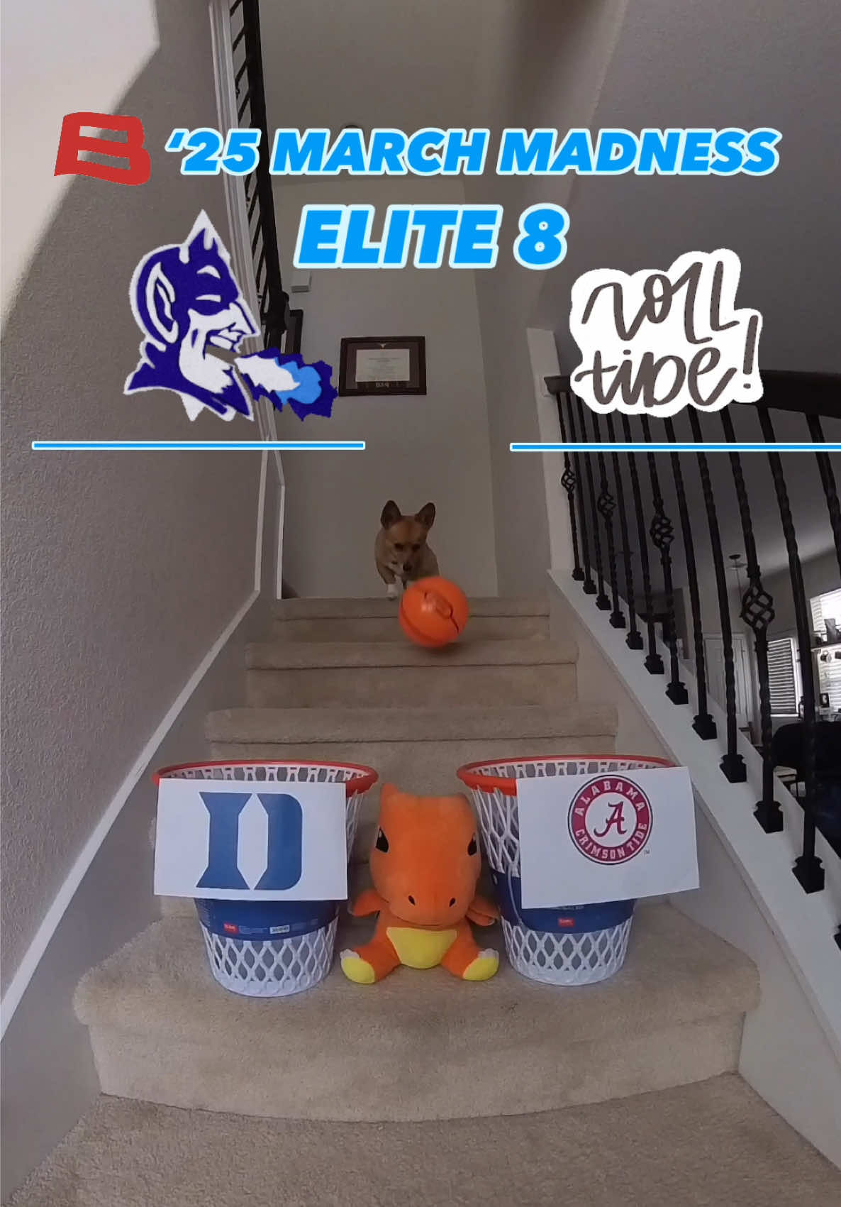 Video post by @aircorg on TikTok