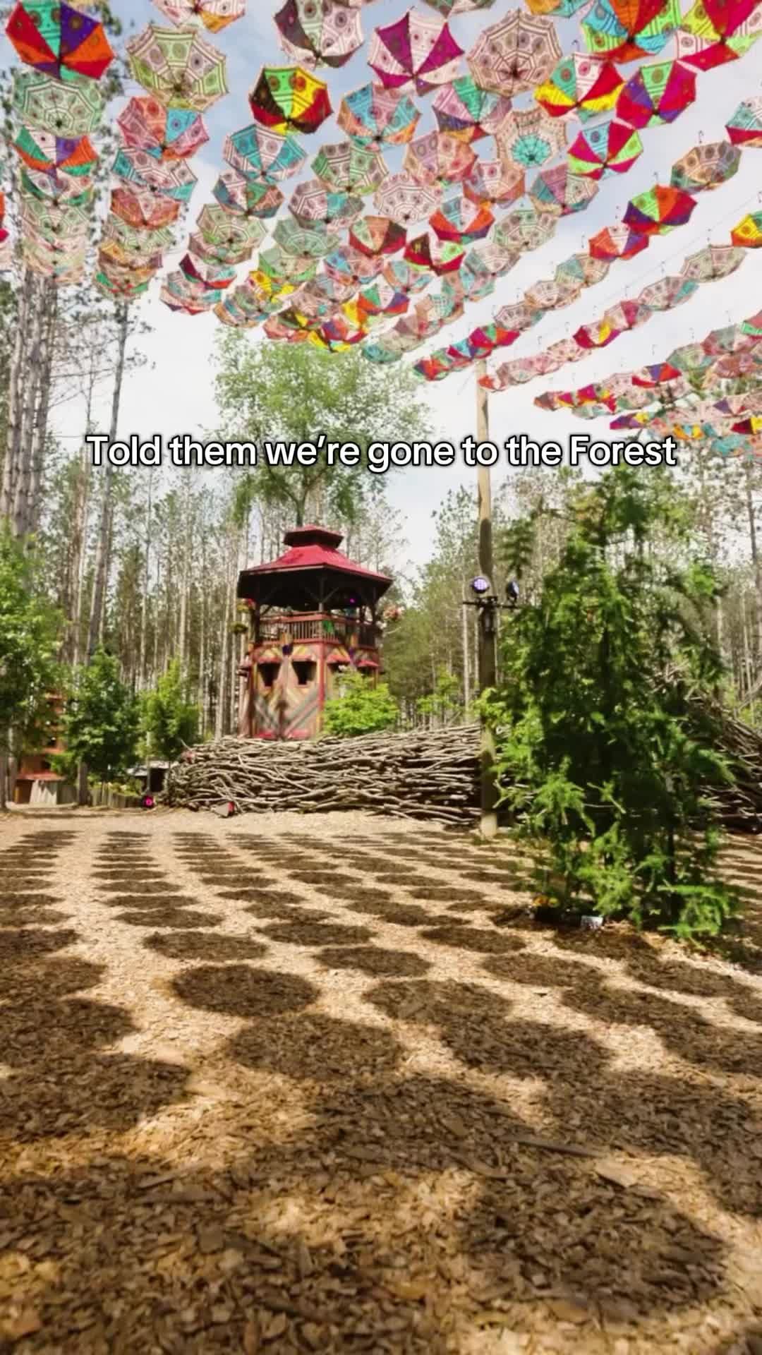 Video post by @electricforest on TikTok