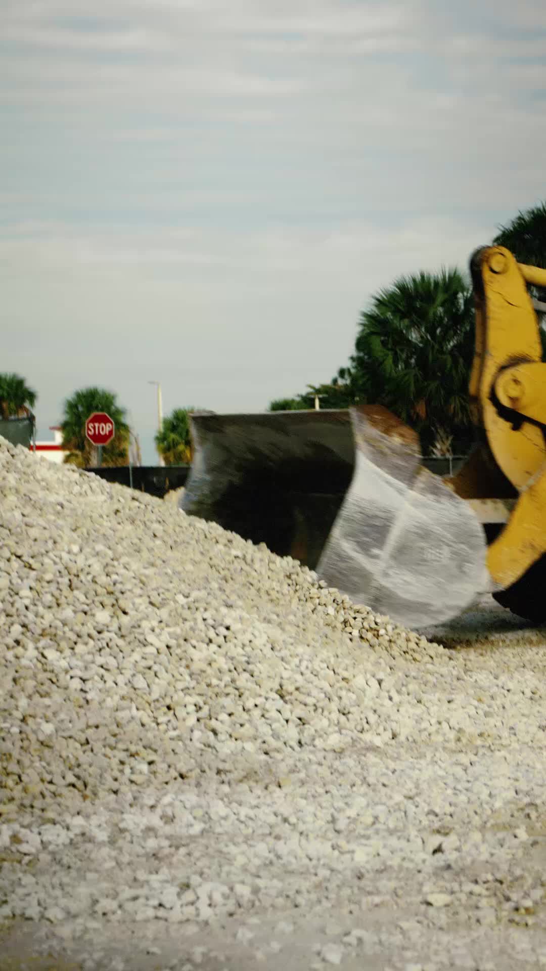 Video post by @dewalttough on TikTok