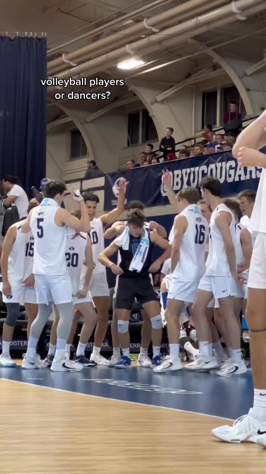 Video post by @byuvolleyball on TikTok
