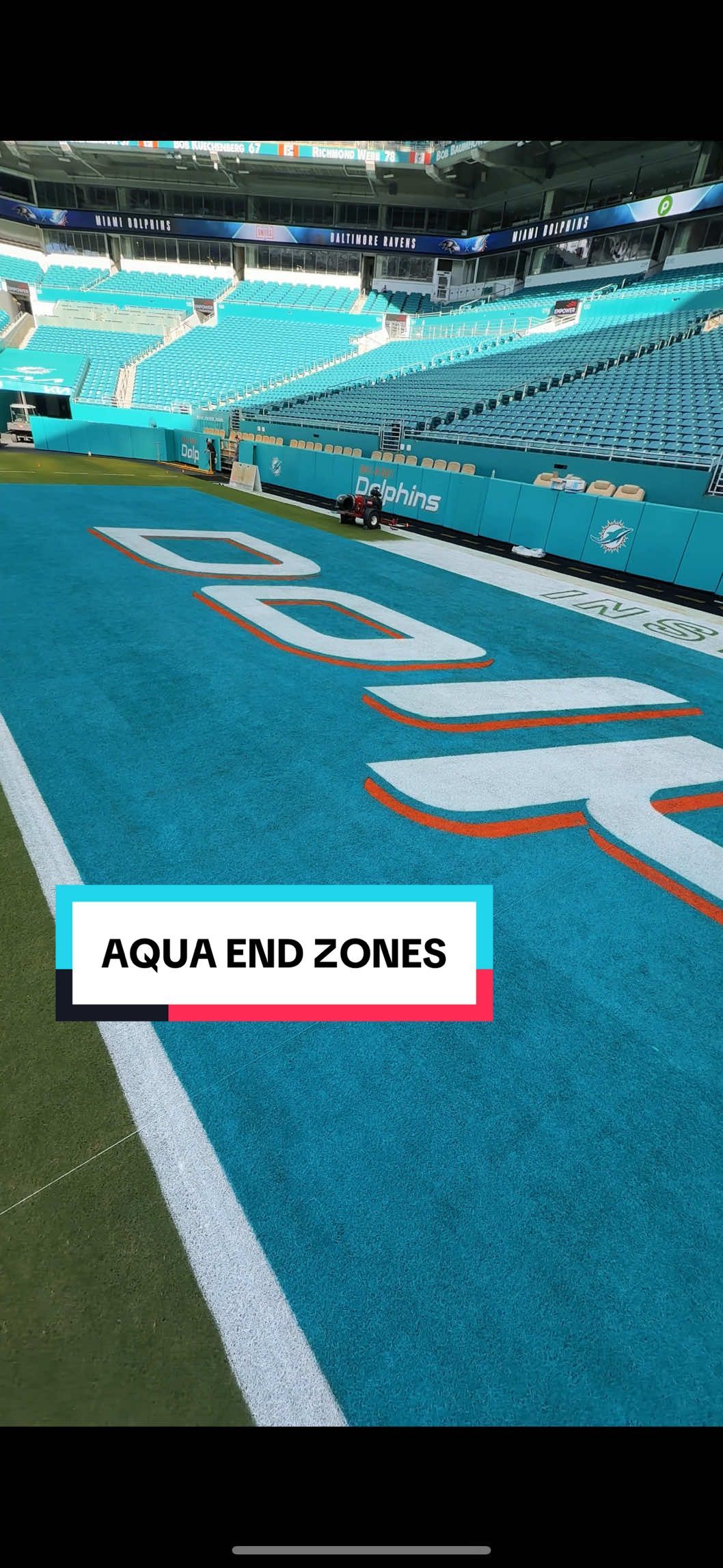 Video post by @miamidolphins on TikTok