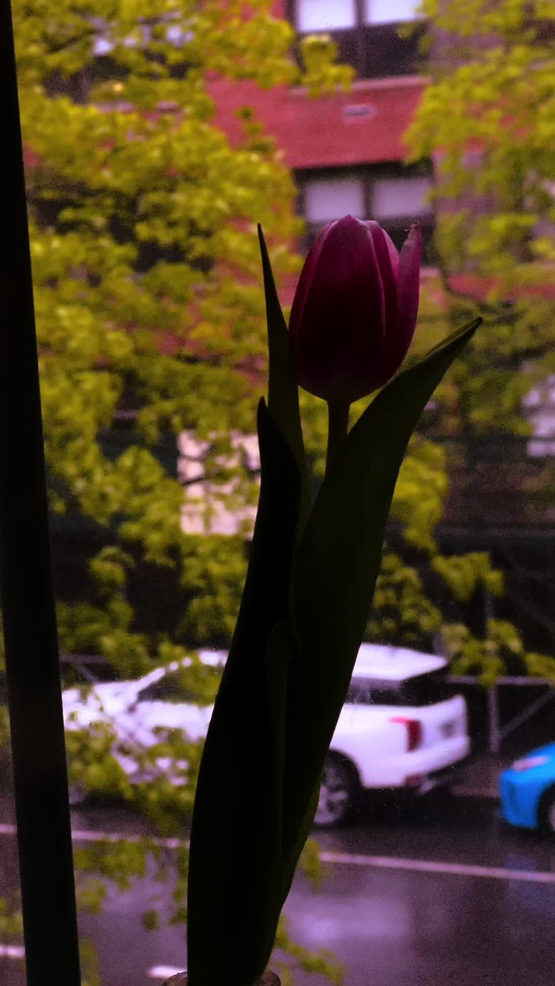 Video post by @sleighthehouse on TikTok