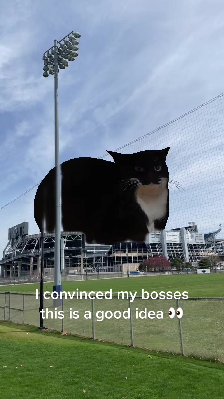 Video post by @pennstate on TikTok