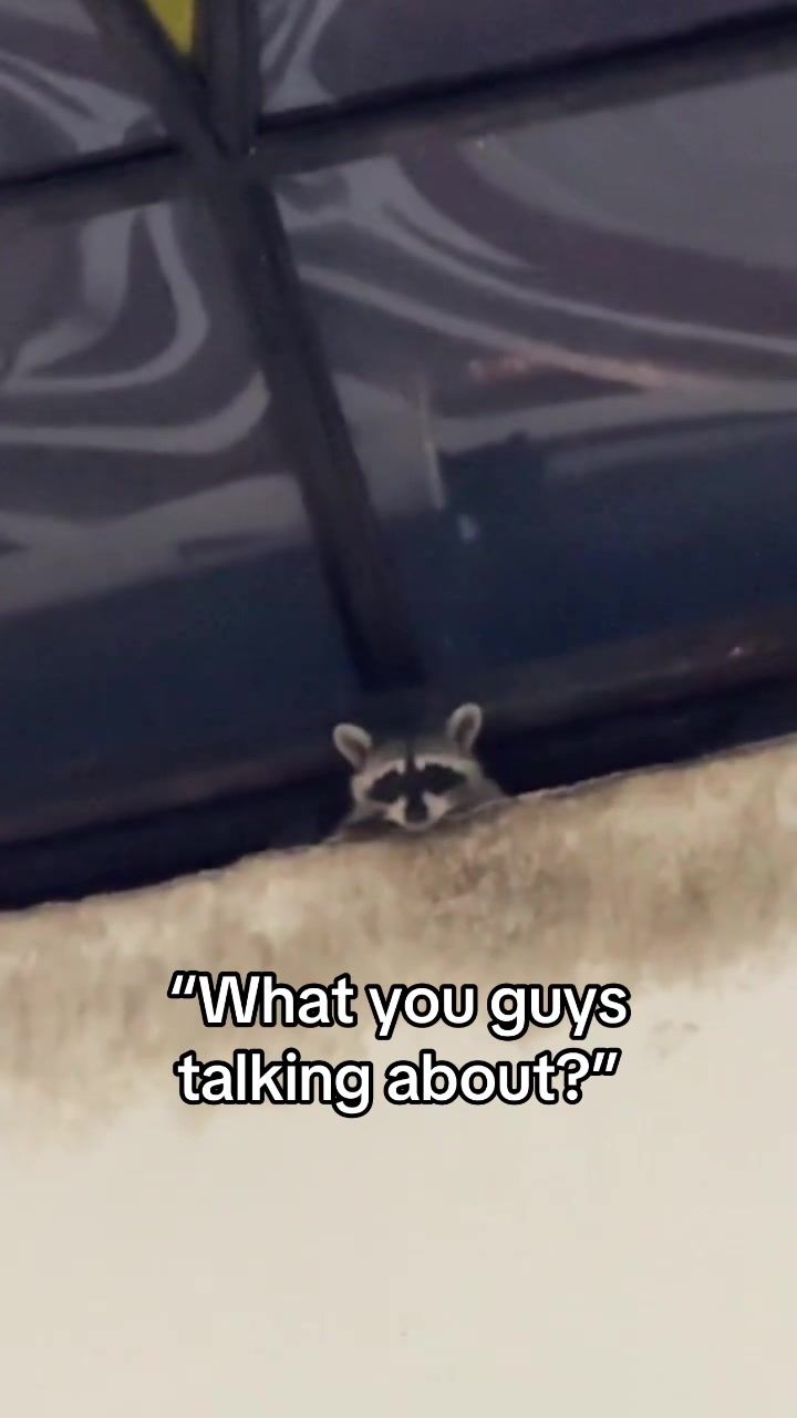 Video post by @overtime on TikTok