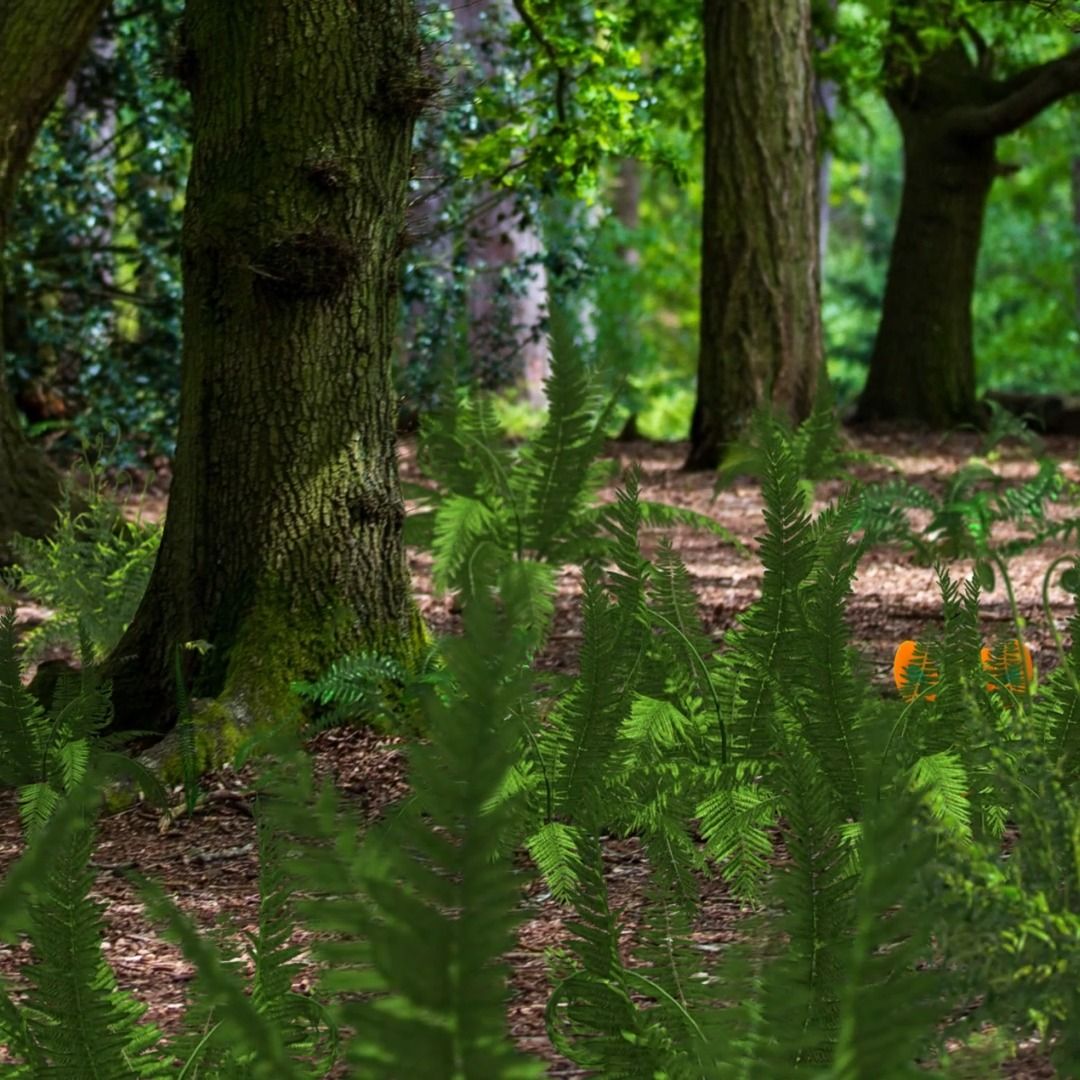 Image post by @pokemongo on Facebook