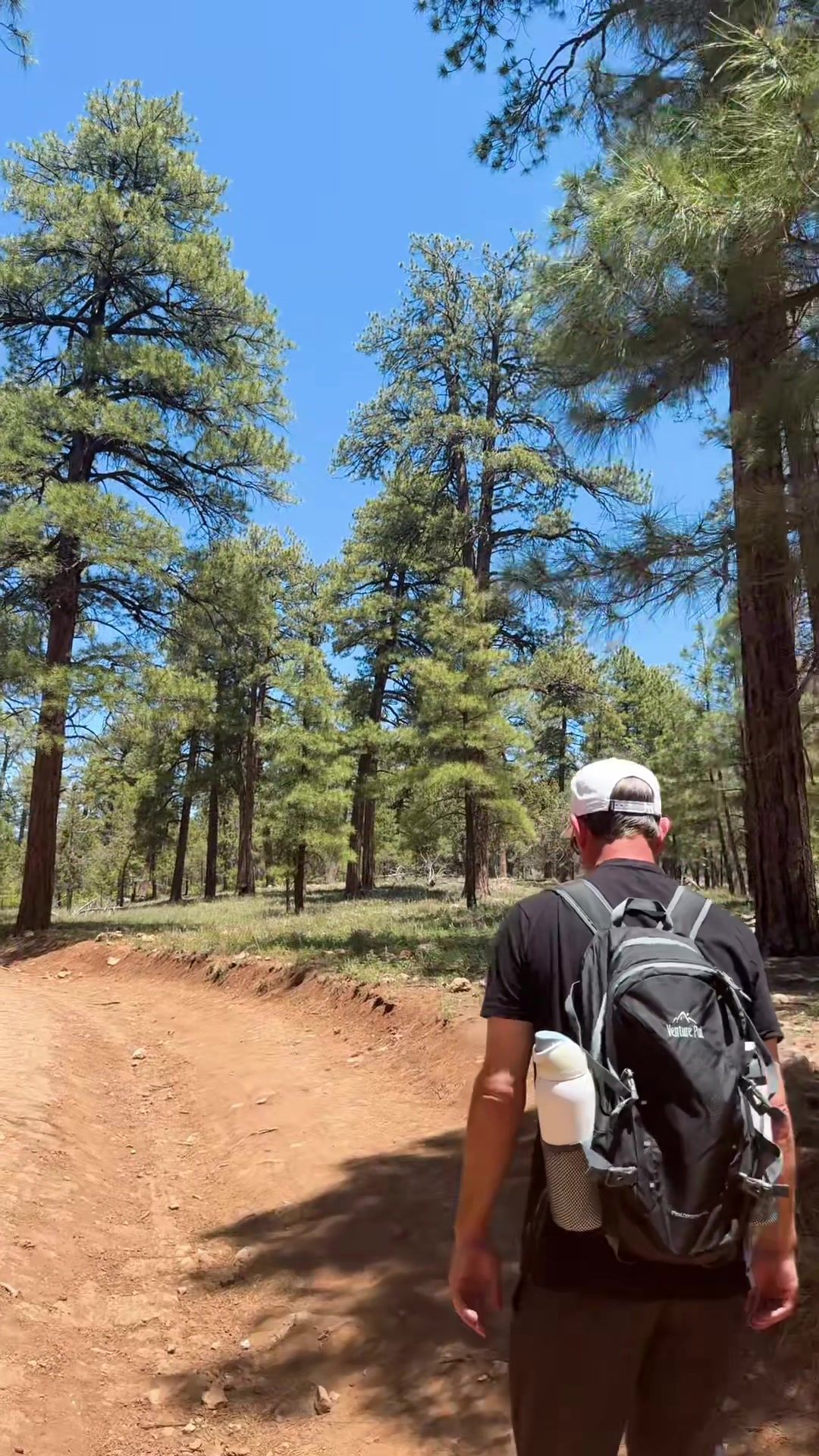 Video post by @thelailafox on TikTok