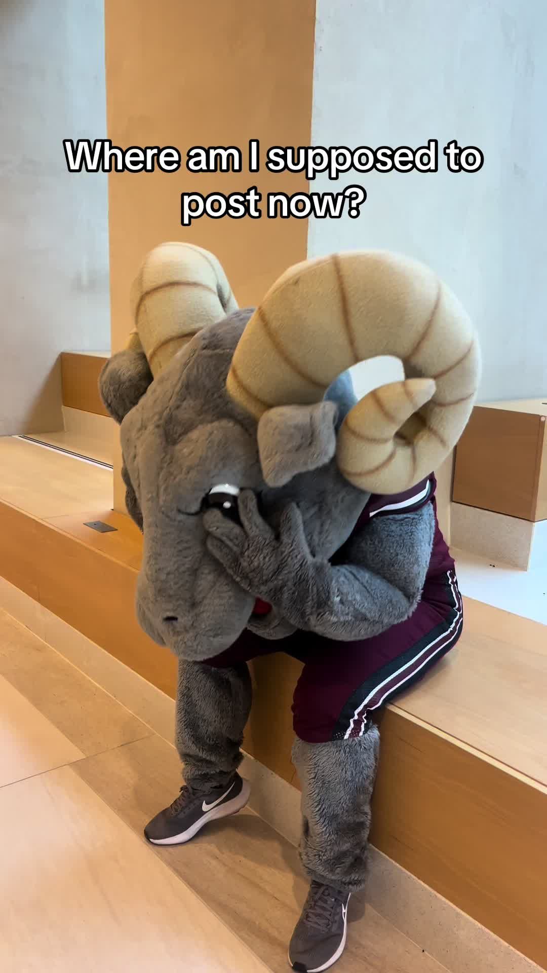 Video post by @fordhamuniversity on TikTok