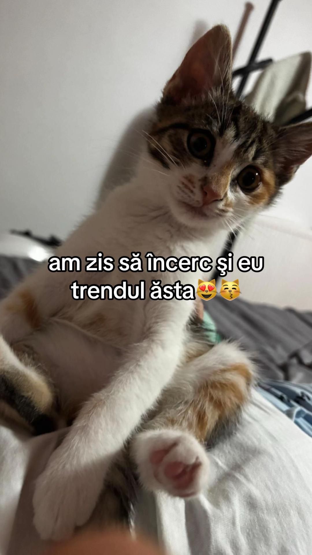 Video post by @lunas.life63 on TikTok