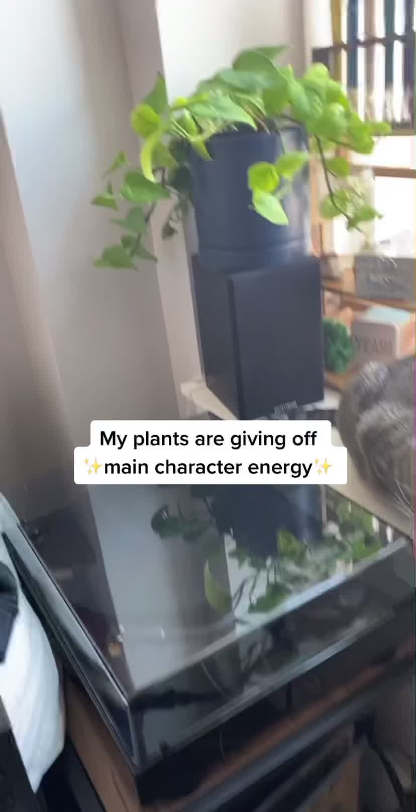 Video post by @shopgreendigs on TikTok