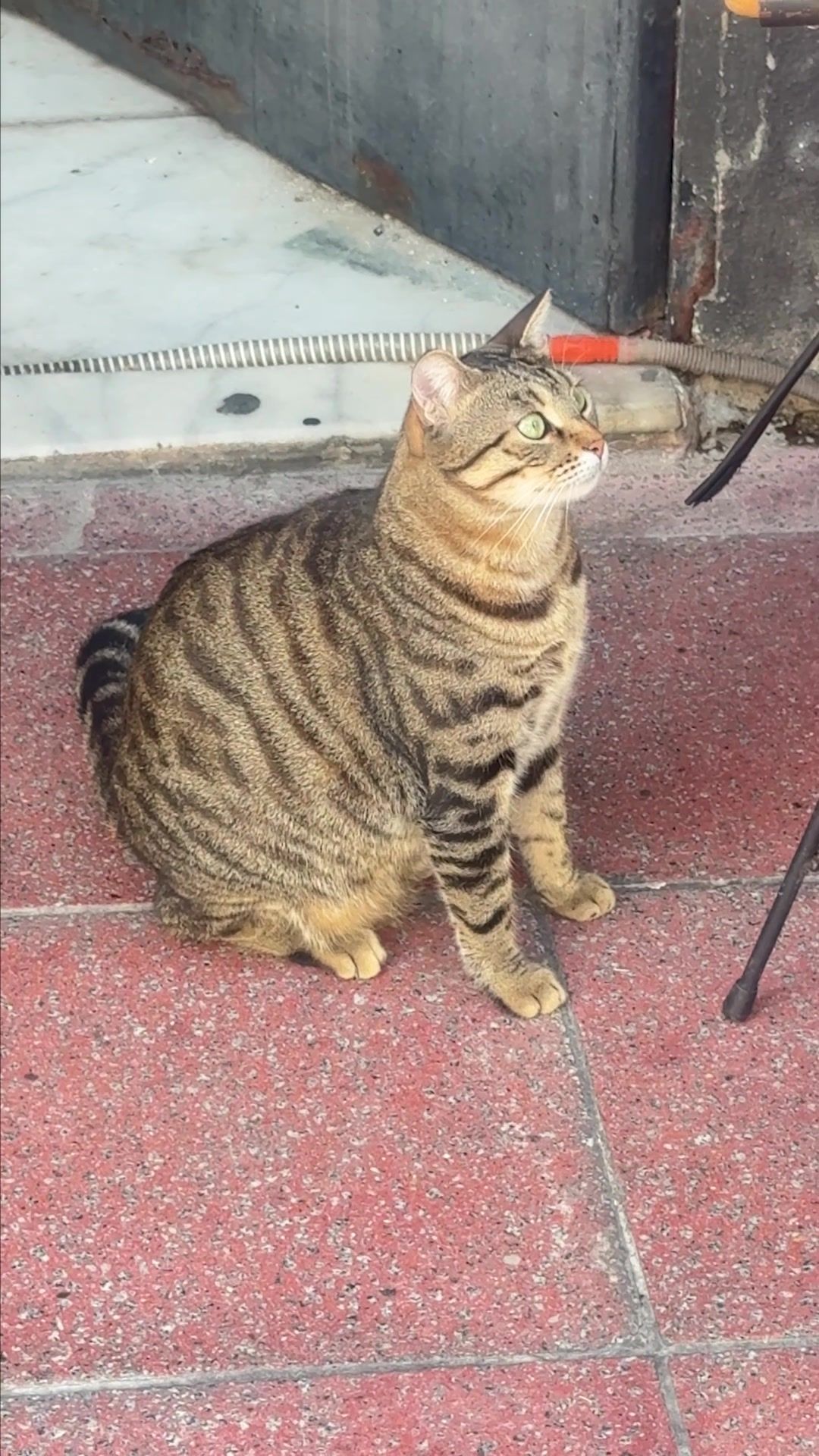 Video post by @mueller_alex on TikTok