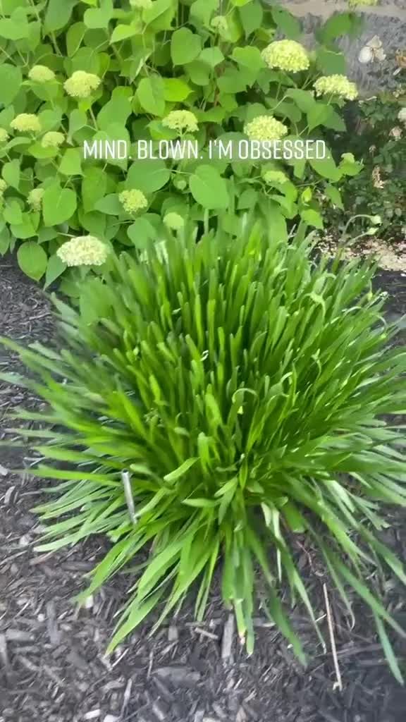 Video post by @amazon on TikTok