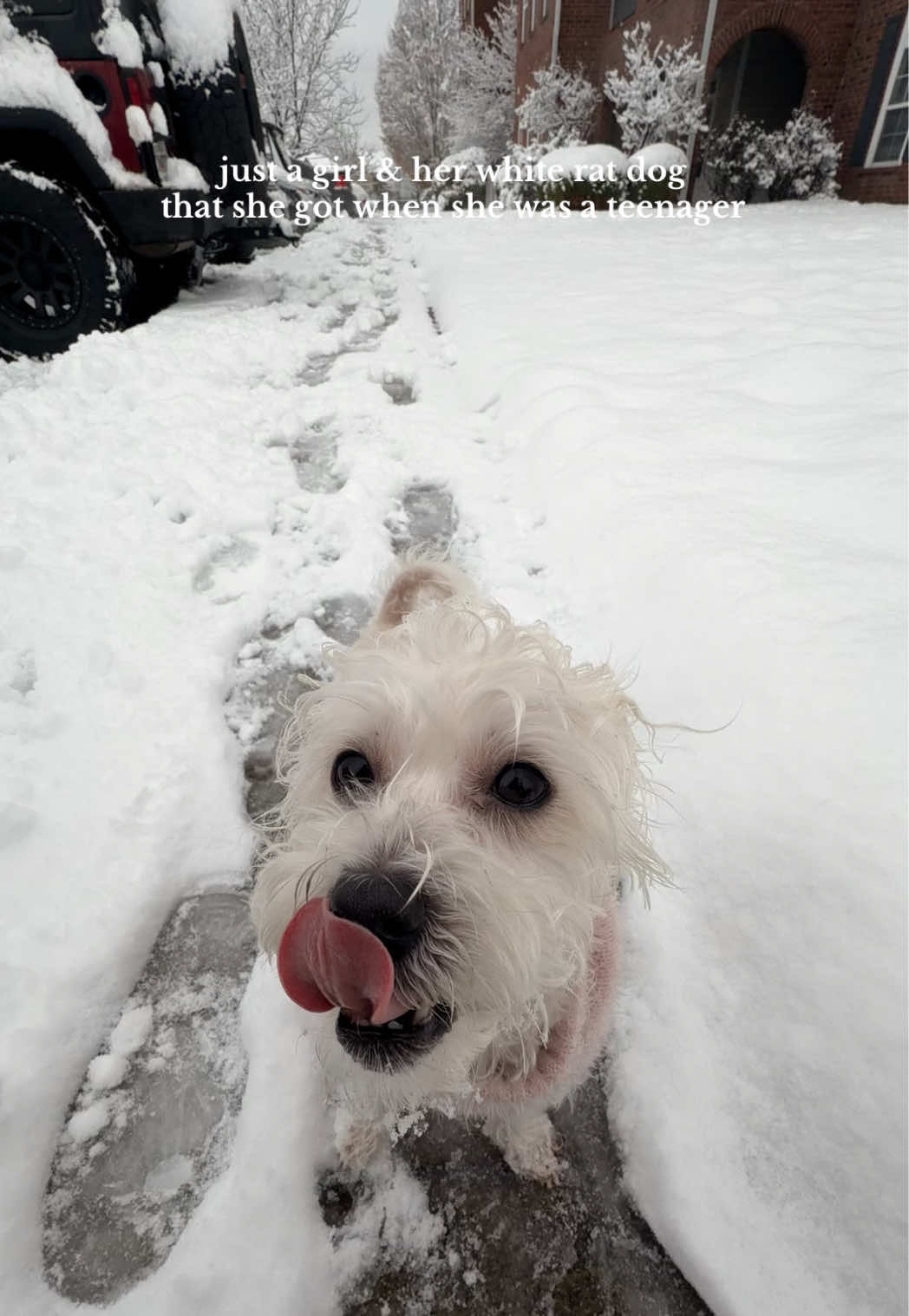 Video post by @janell.brashae on TikTok