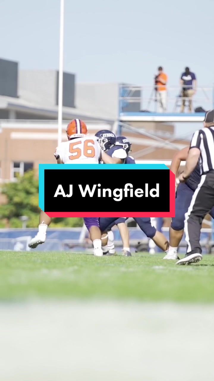 Video post by @ithacabombers on TikTok