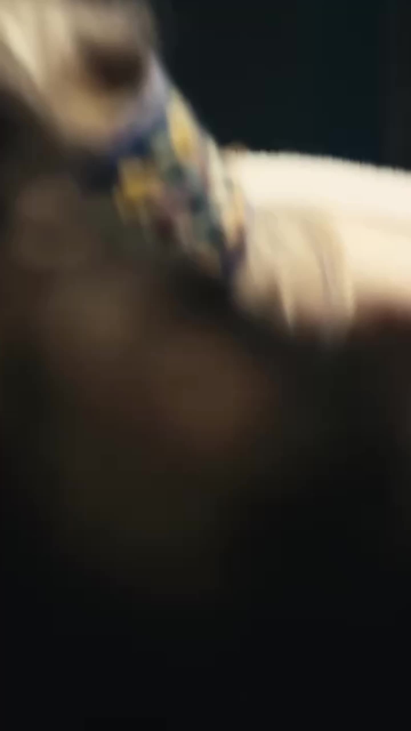 Video post by @bryce.l.fleming on TikTok