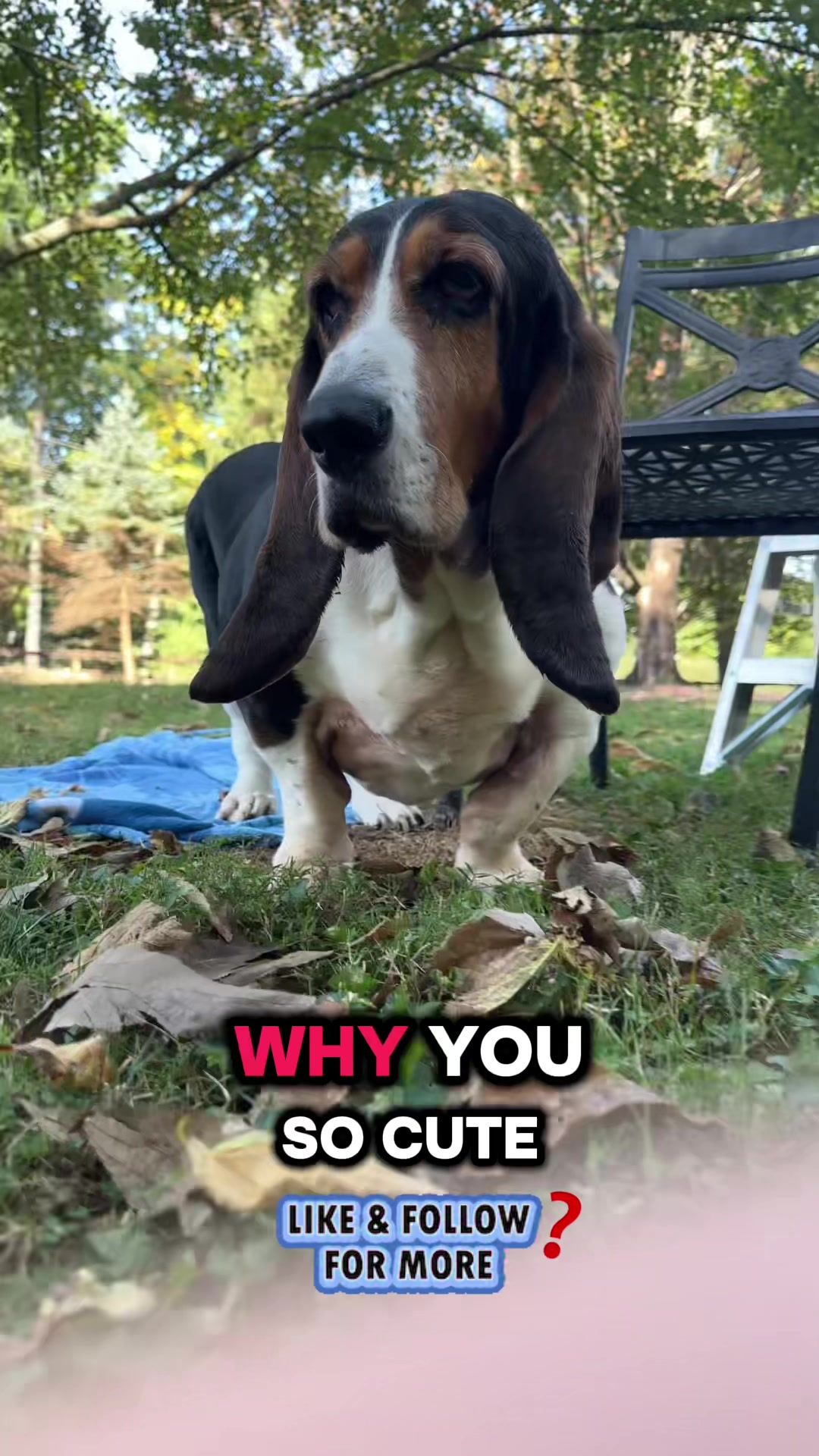 Video post by @realtomvelle on TikTok