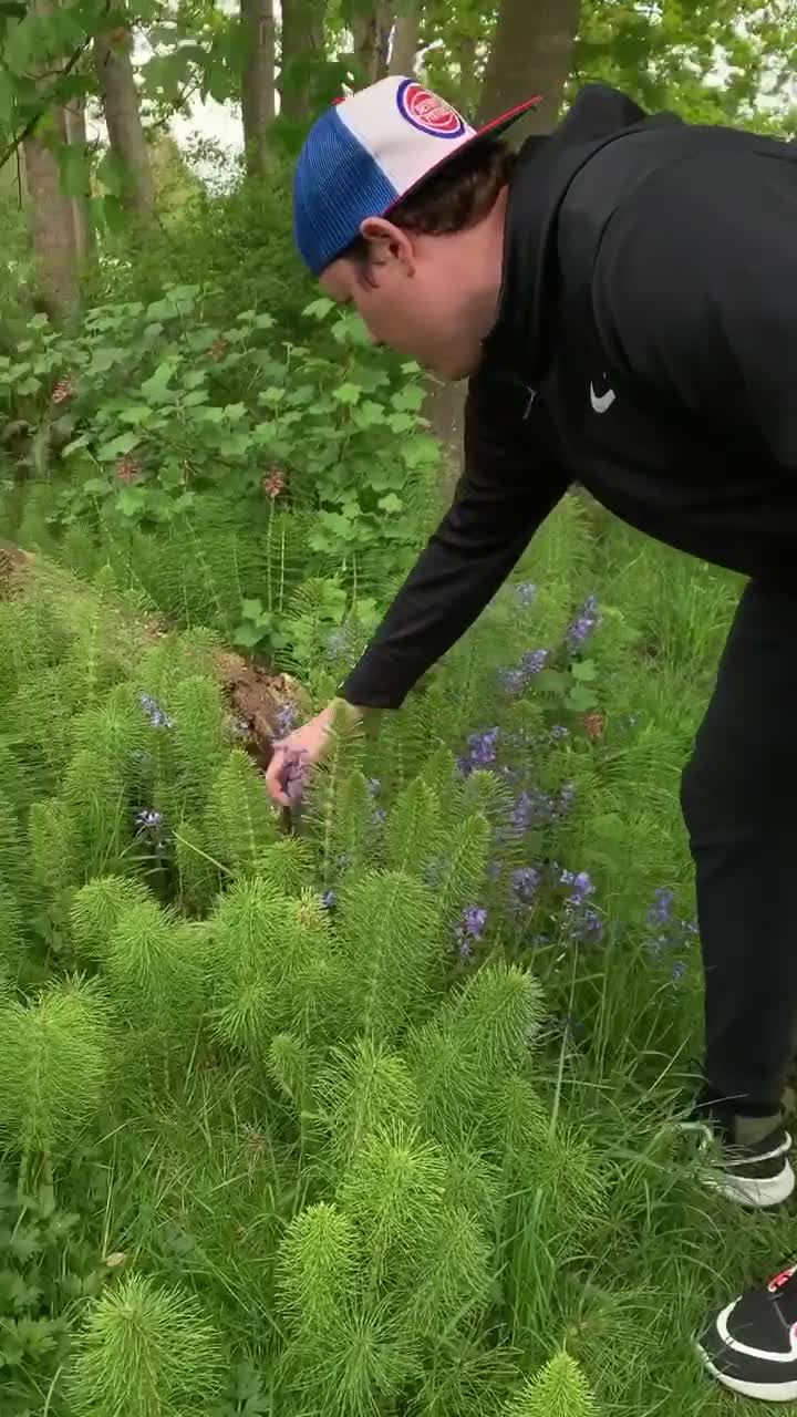 Video post by @brianbosche on TikTok