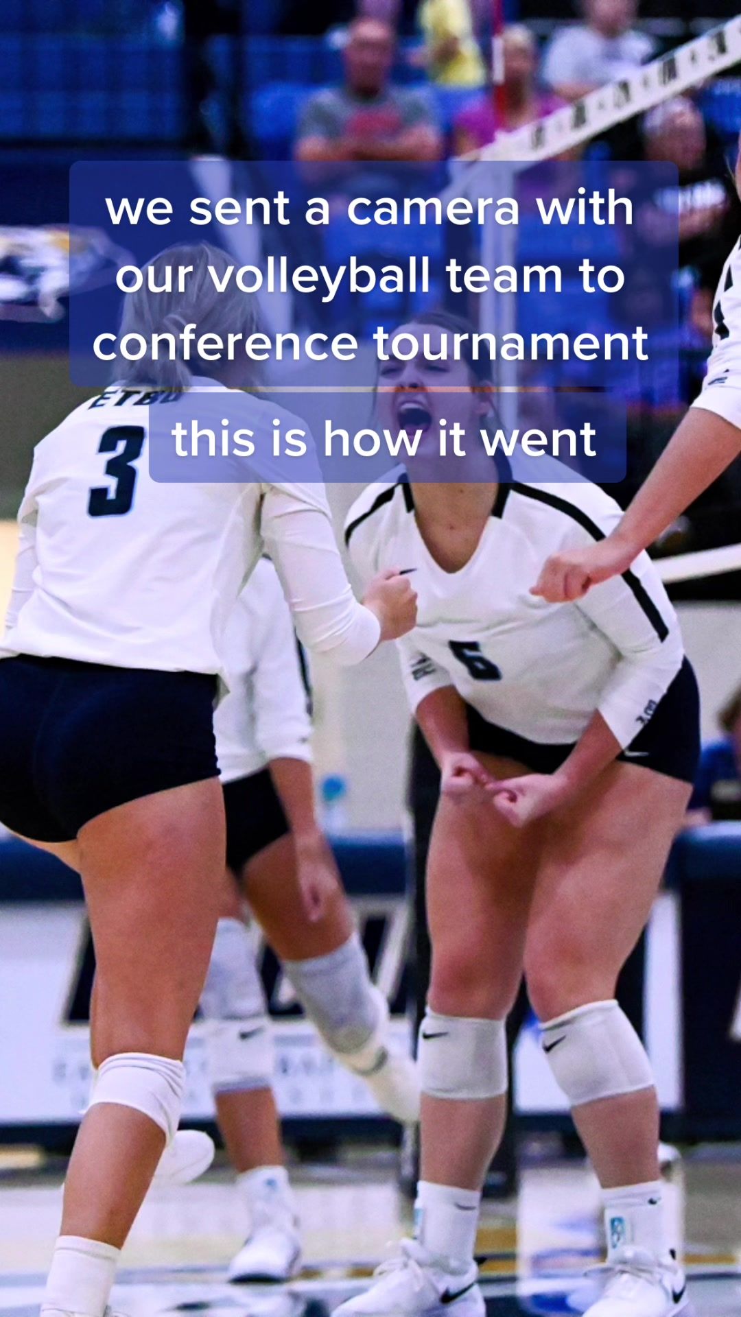 Video post by @goetbutigers on TikTok