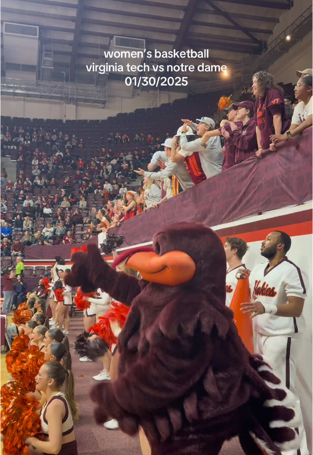 Video post by @katieolenick on TikTok