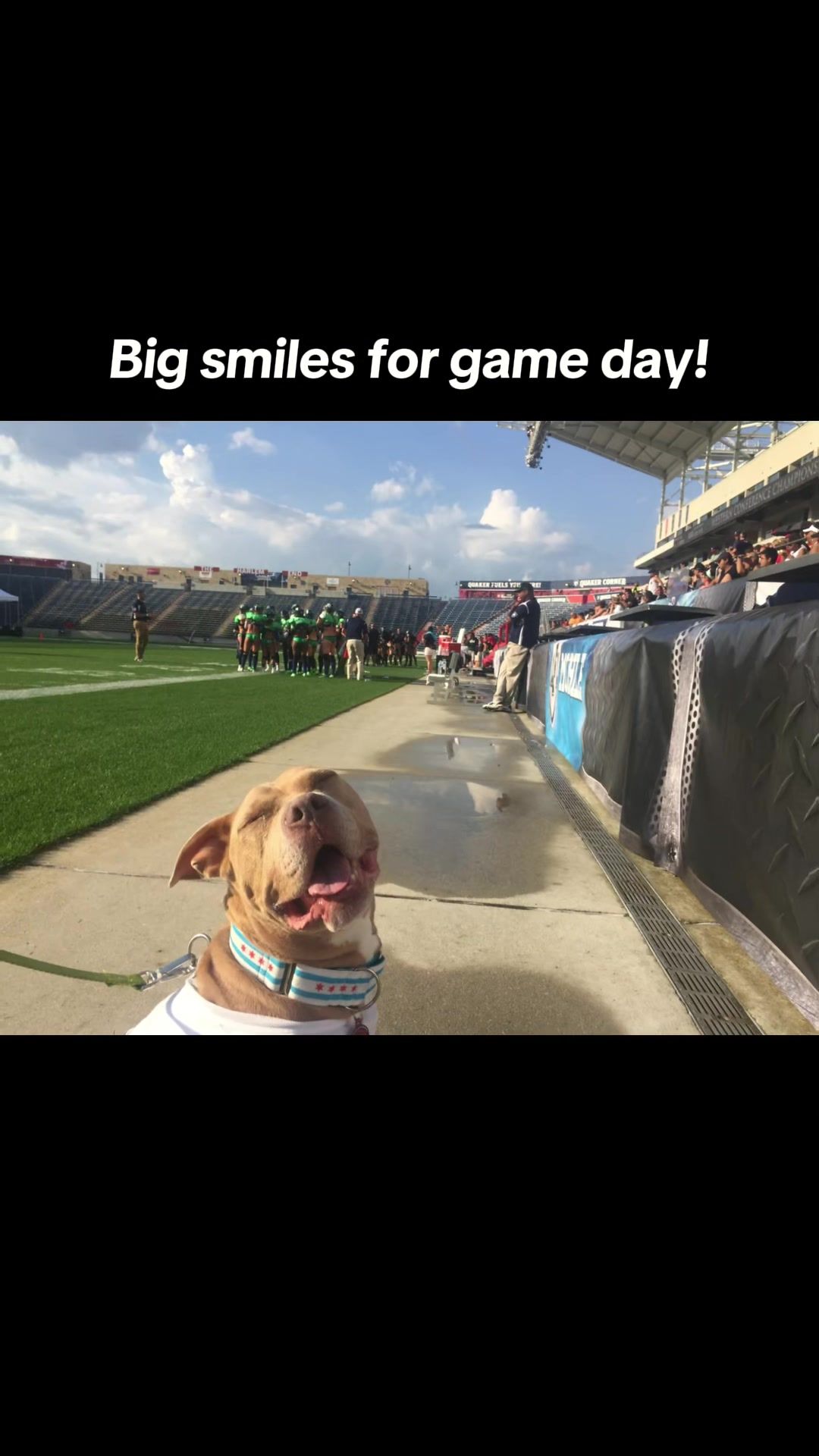 Video post by @livelikeroofoundation on TikTok