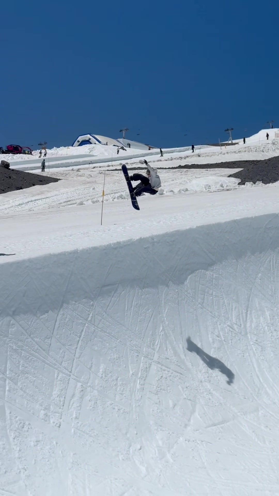 Video post by @noahavallone on TikTok