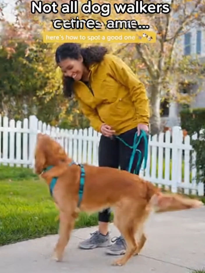 Video post by @fourpawsforward90 on TikTok