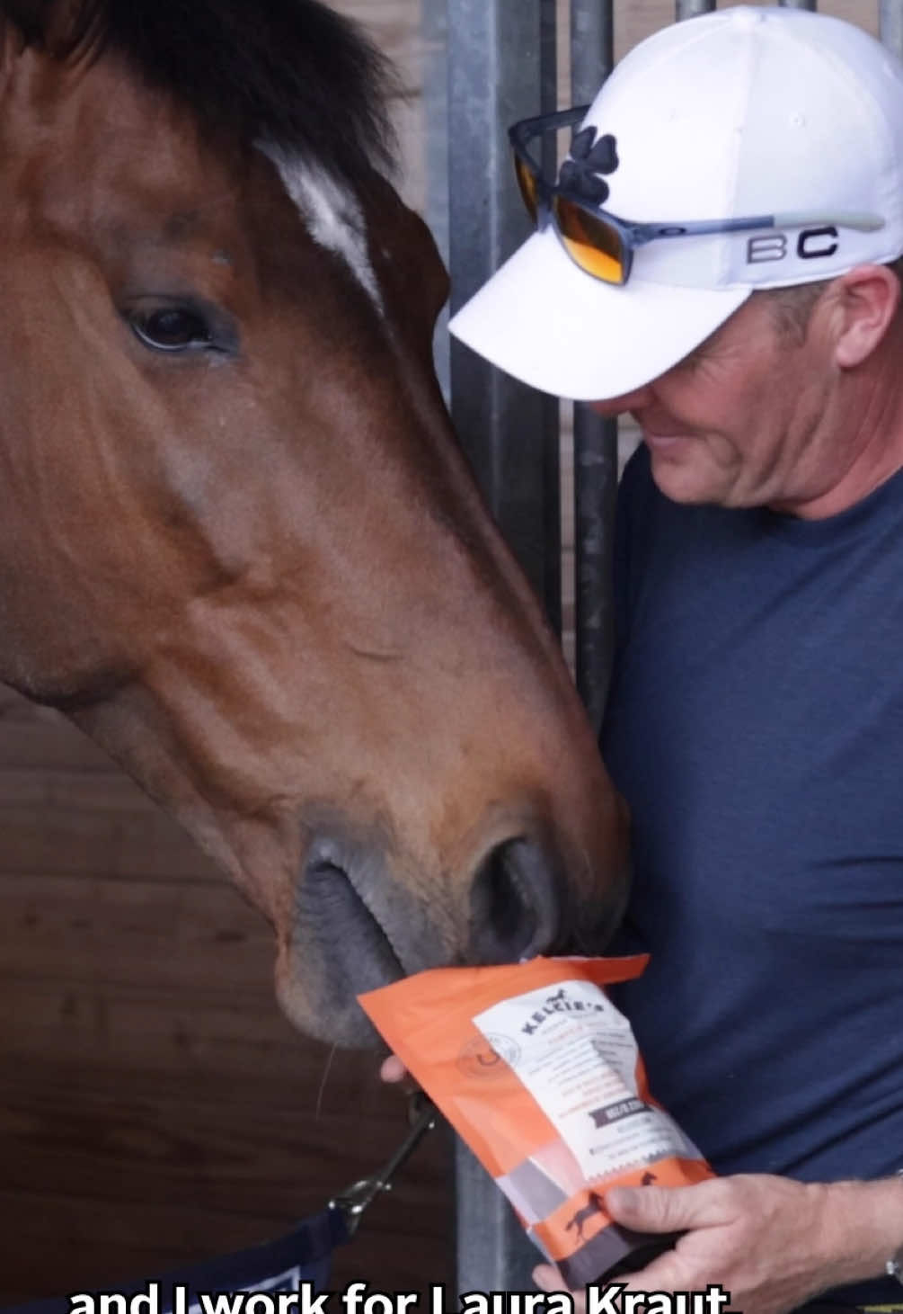 Video post by @usequestrian on TikTok