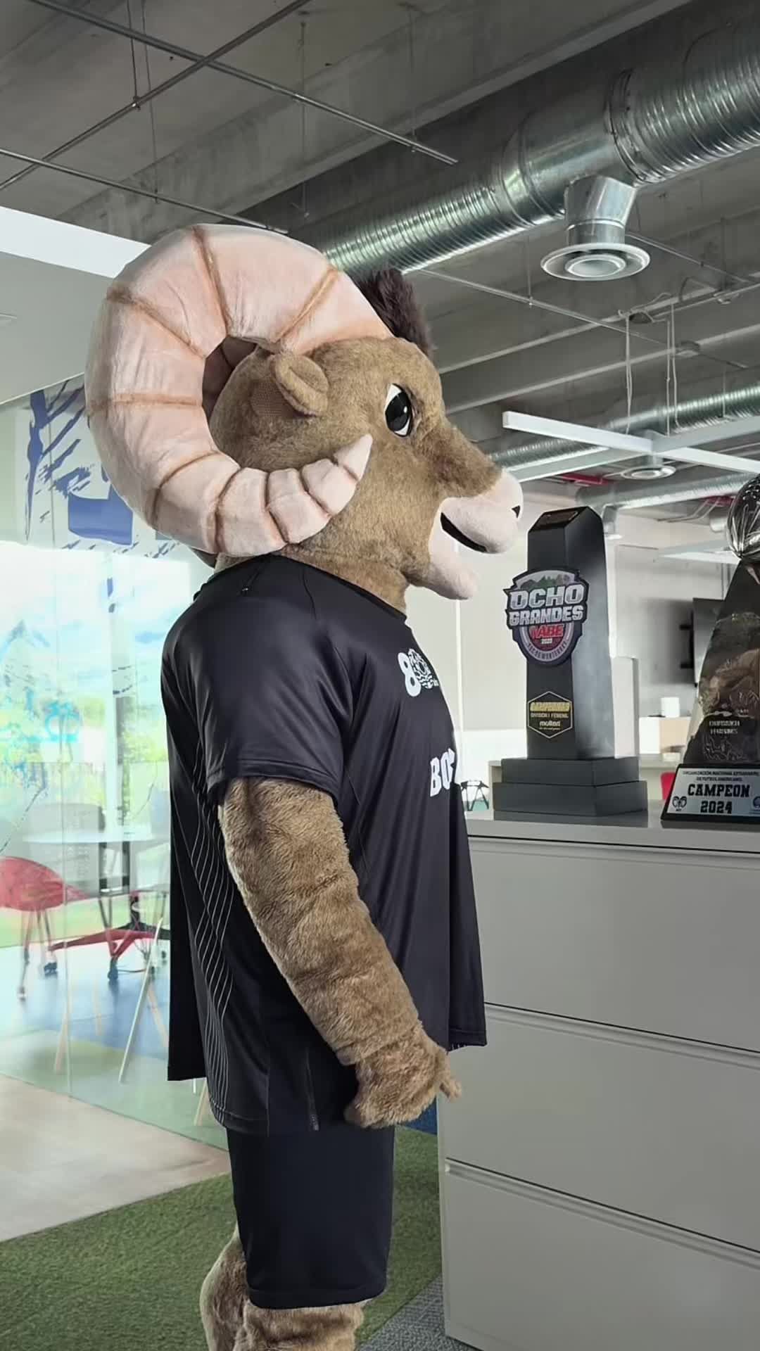 Video post by @borregostec on TikTok