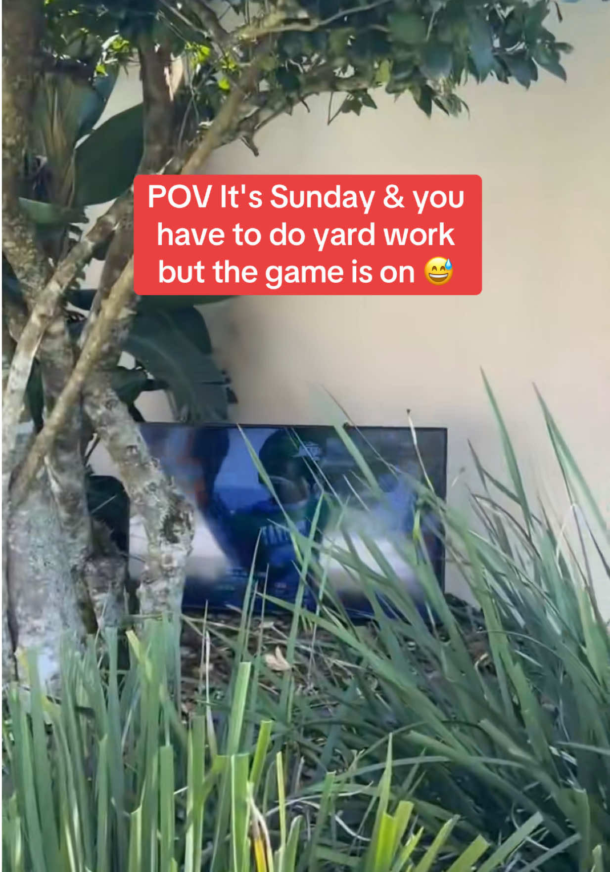 Video post by @whistle on TikTok