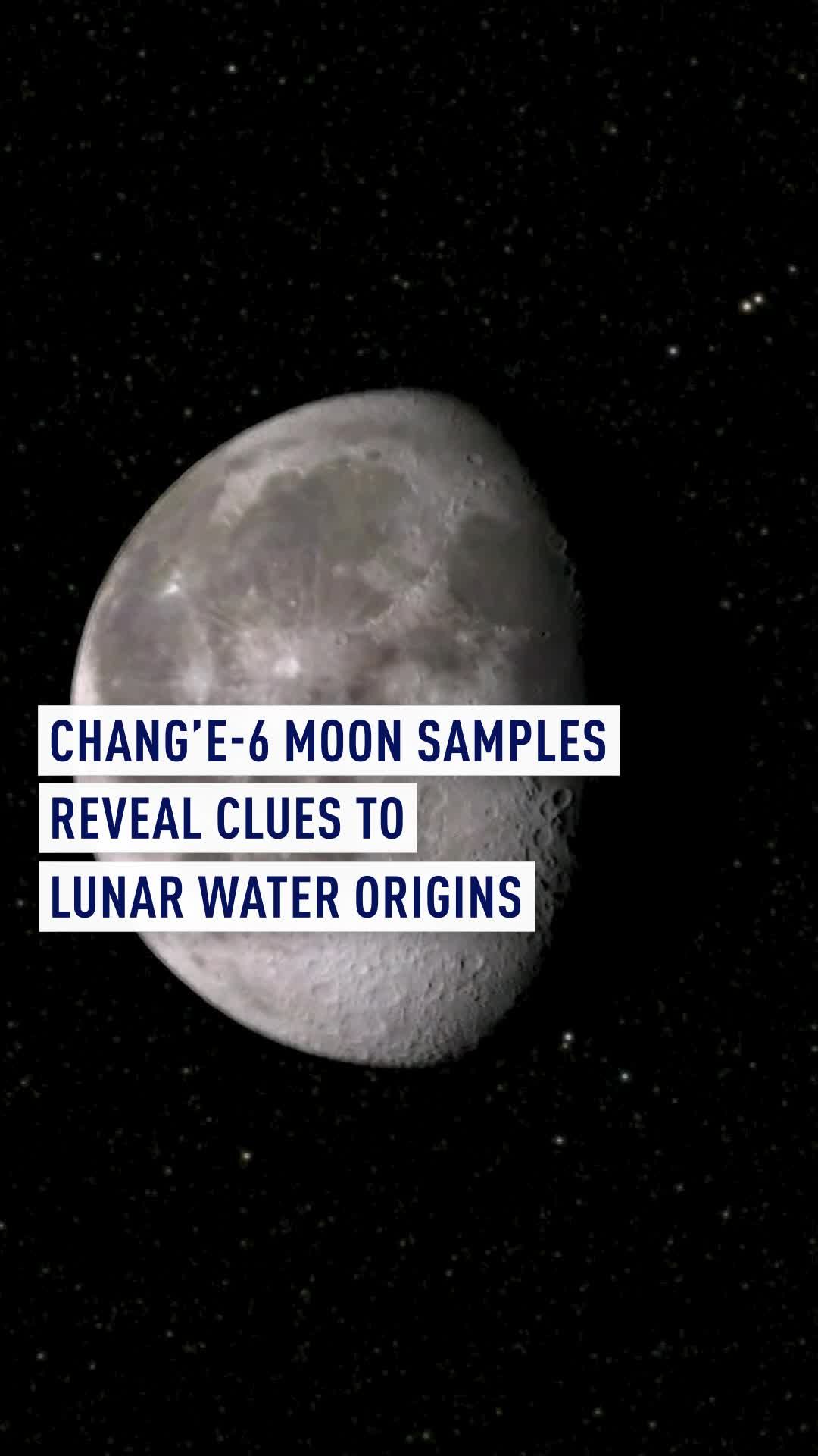 Video post by @cgtneurope on TikTok