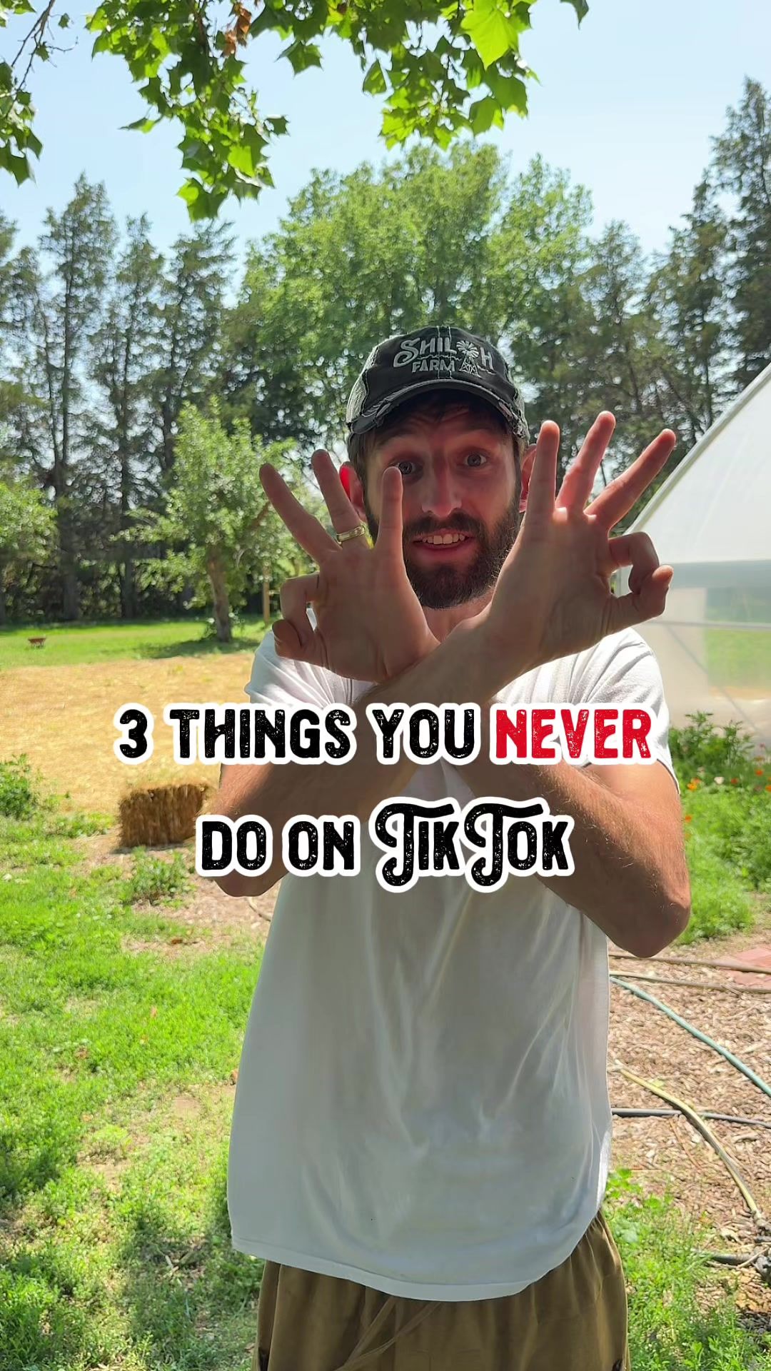 Video post by @shilohfarm on TikTok