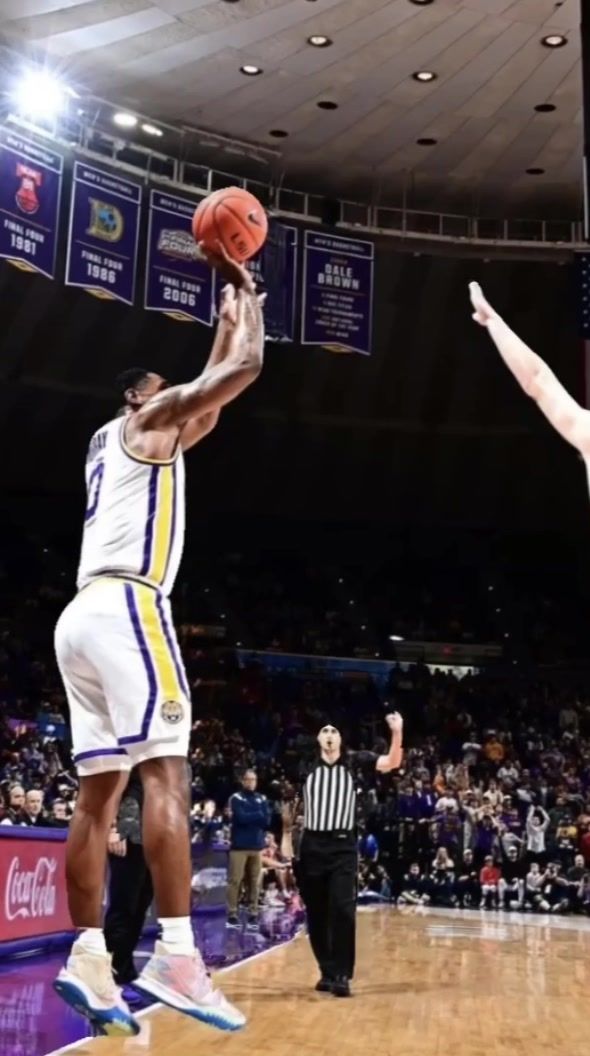 Video post by @lsu on TikTok