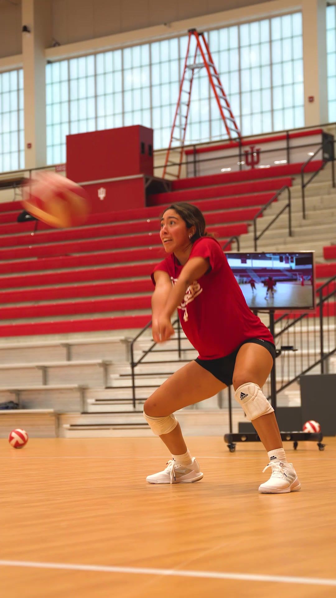 Video post by @indianavb on TikTok