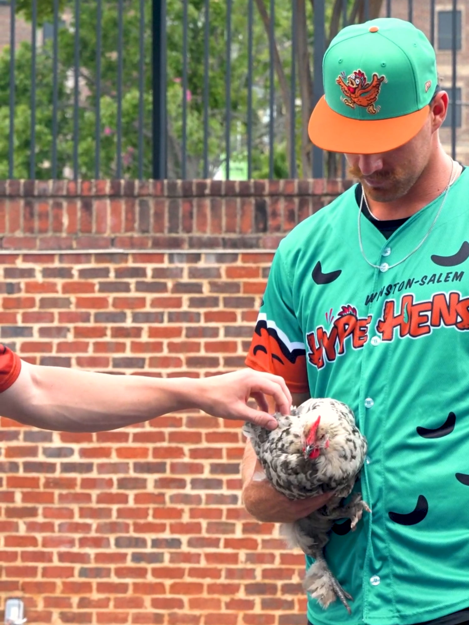 Video post by @wsdash on TikTok