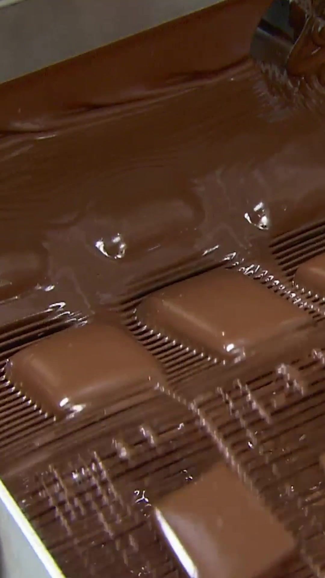 Video post by @sciencechannel on TikTok