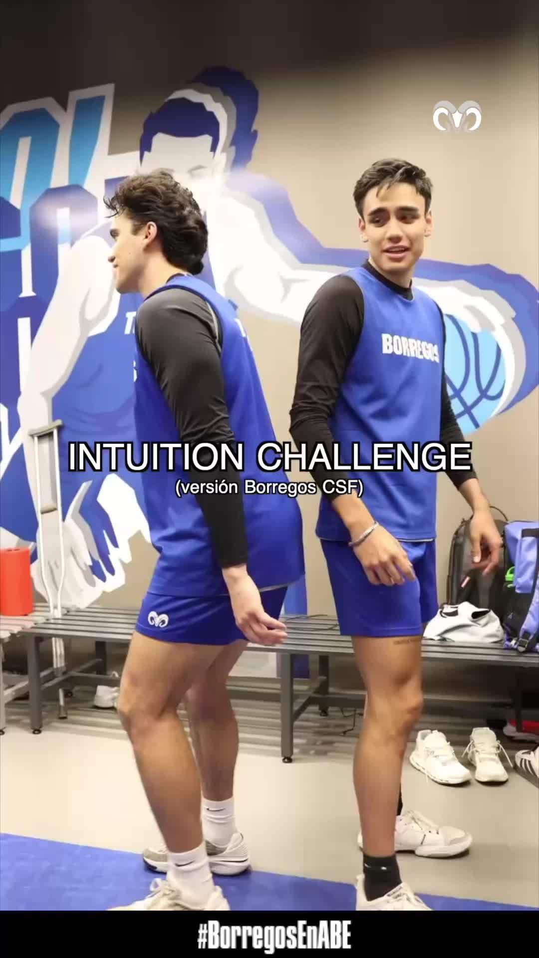 Video post by @borregostec on TikTok