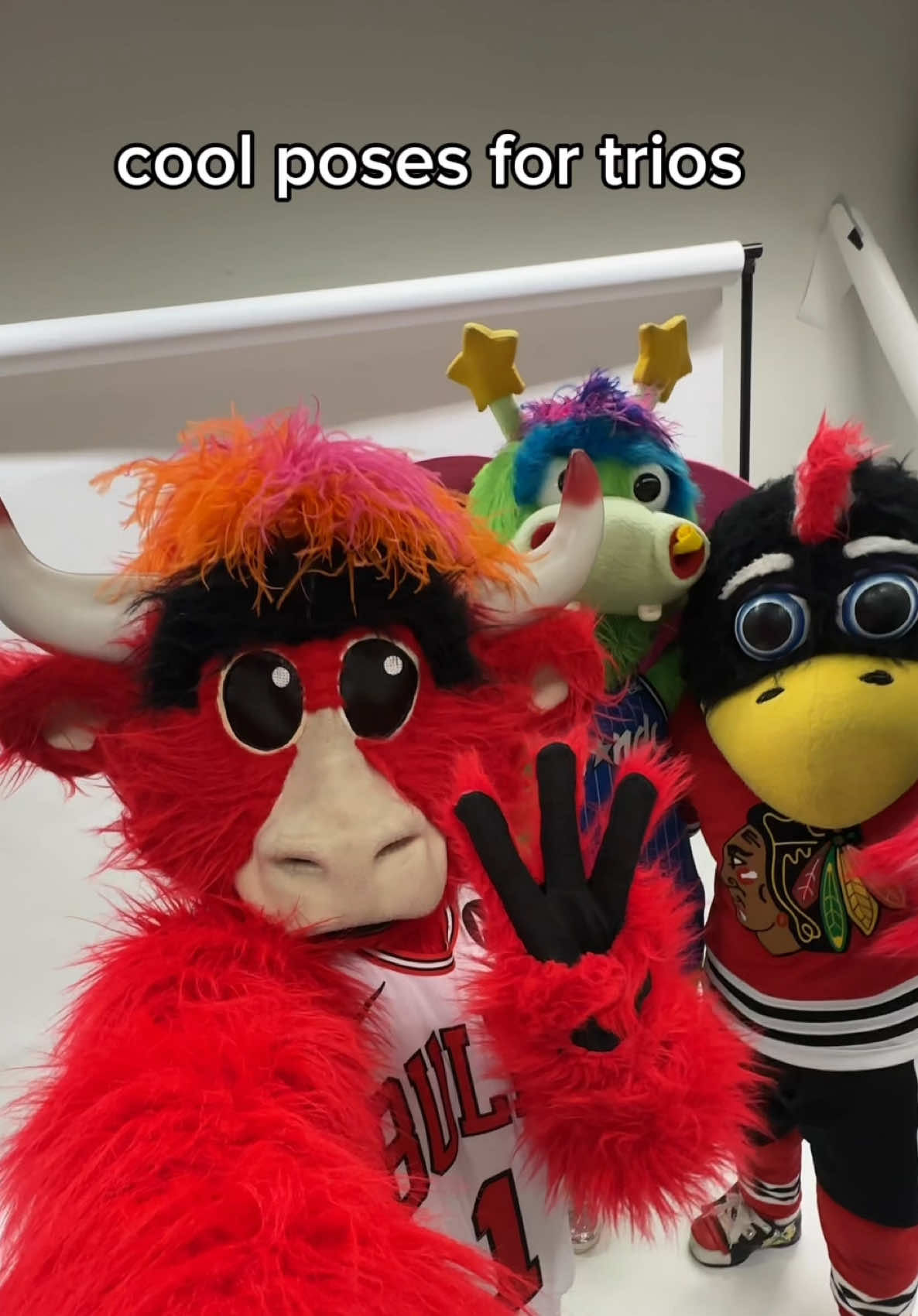Video post by @bennythebull on TikTok