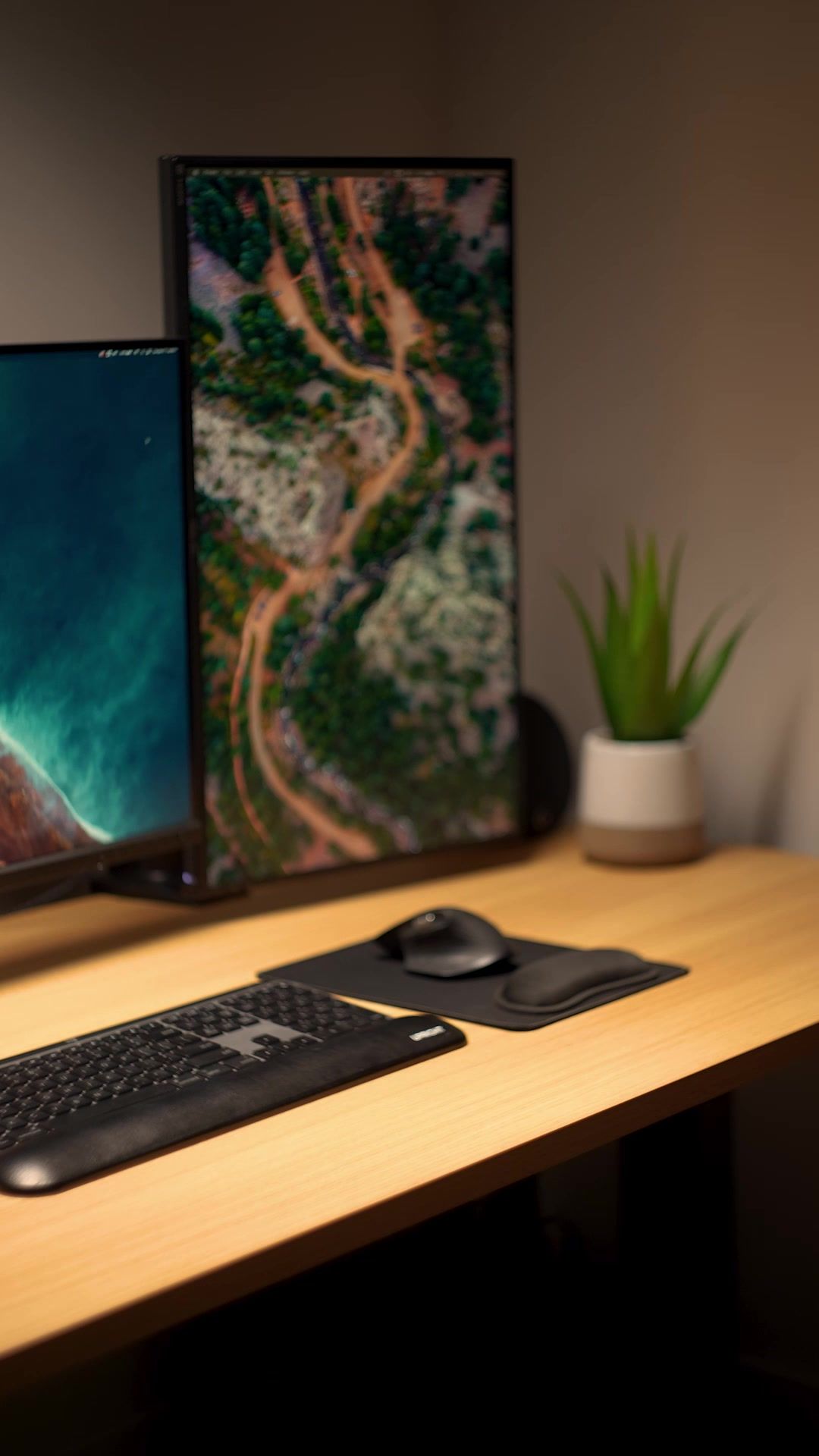 Video post by @alexorchilles on TikTok