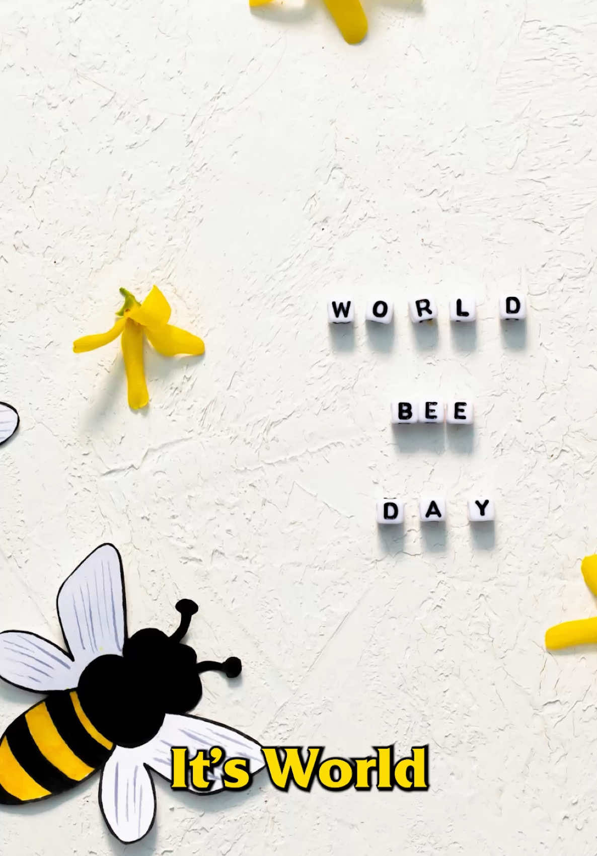 Video post by @bugbustersusa on TikTok