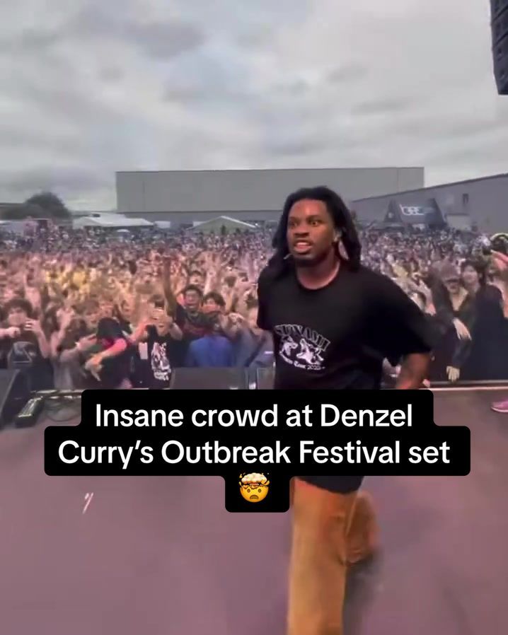 Video post by @pigsandplans on TikTok