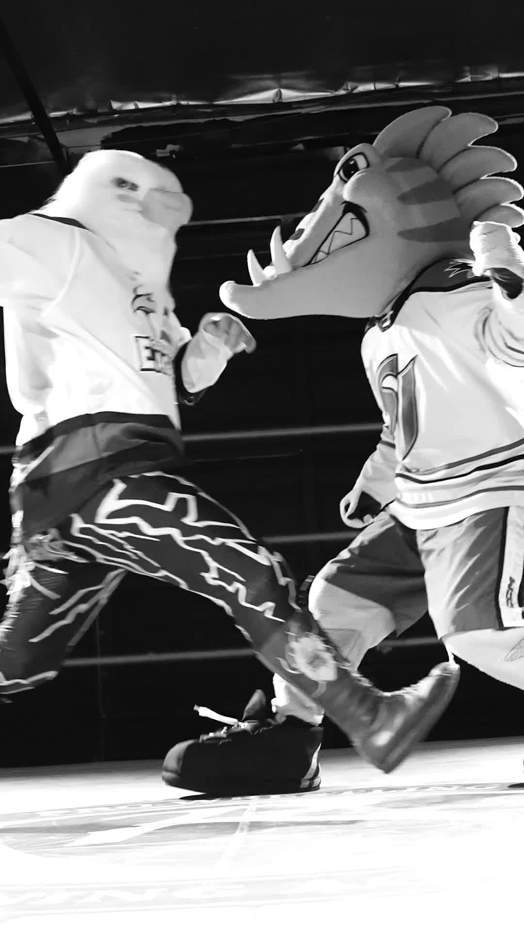 Video post by @sanjosebarracuda on TikTok