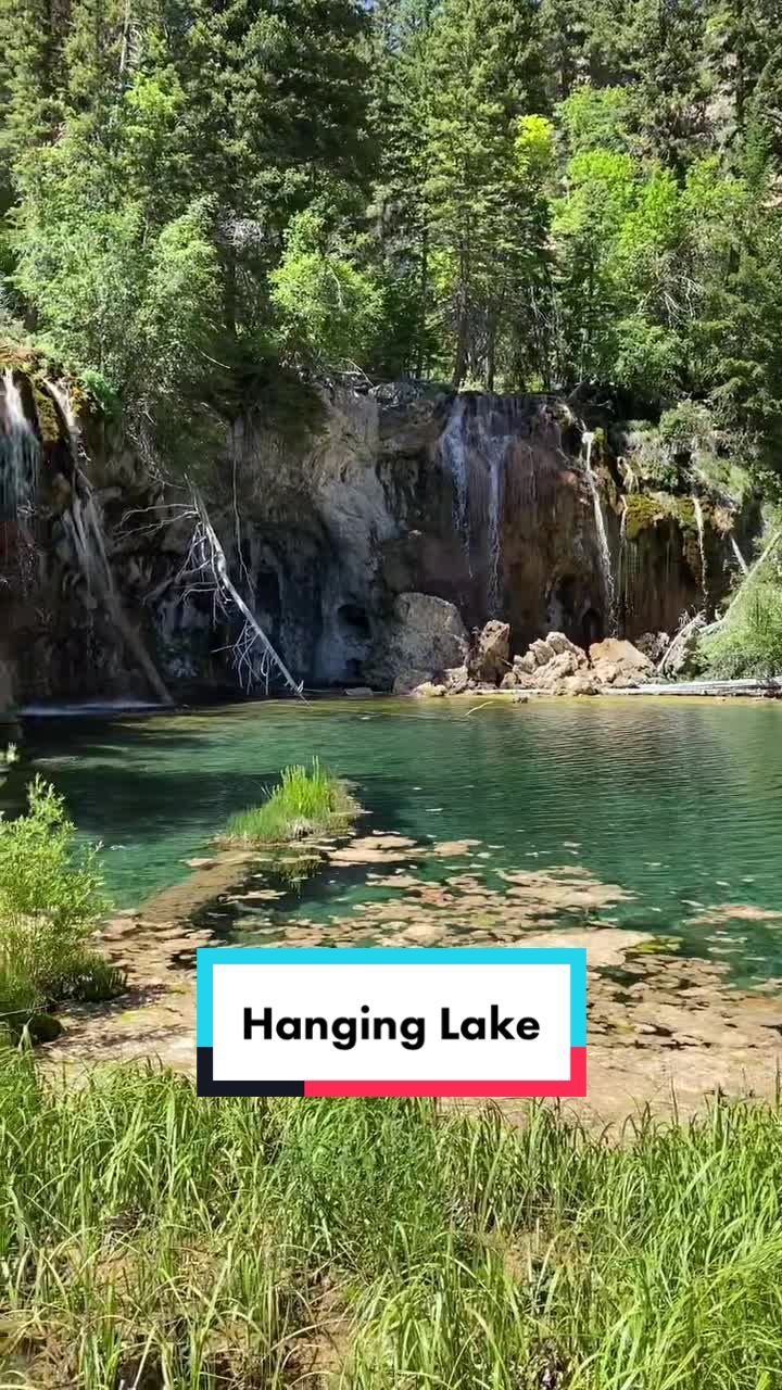 Video post by @nickbrownco on TikTok