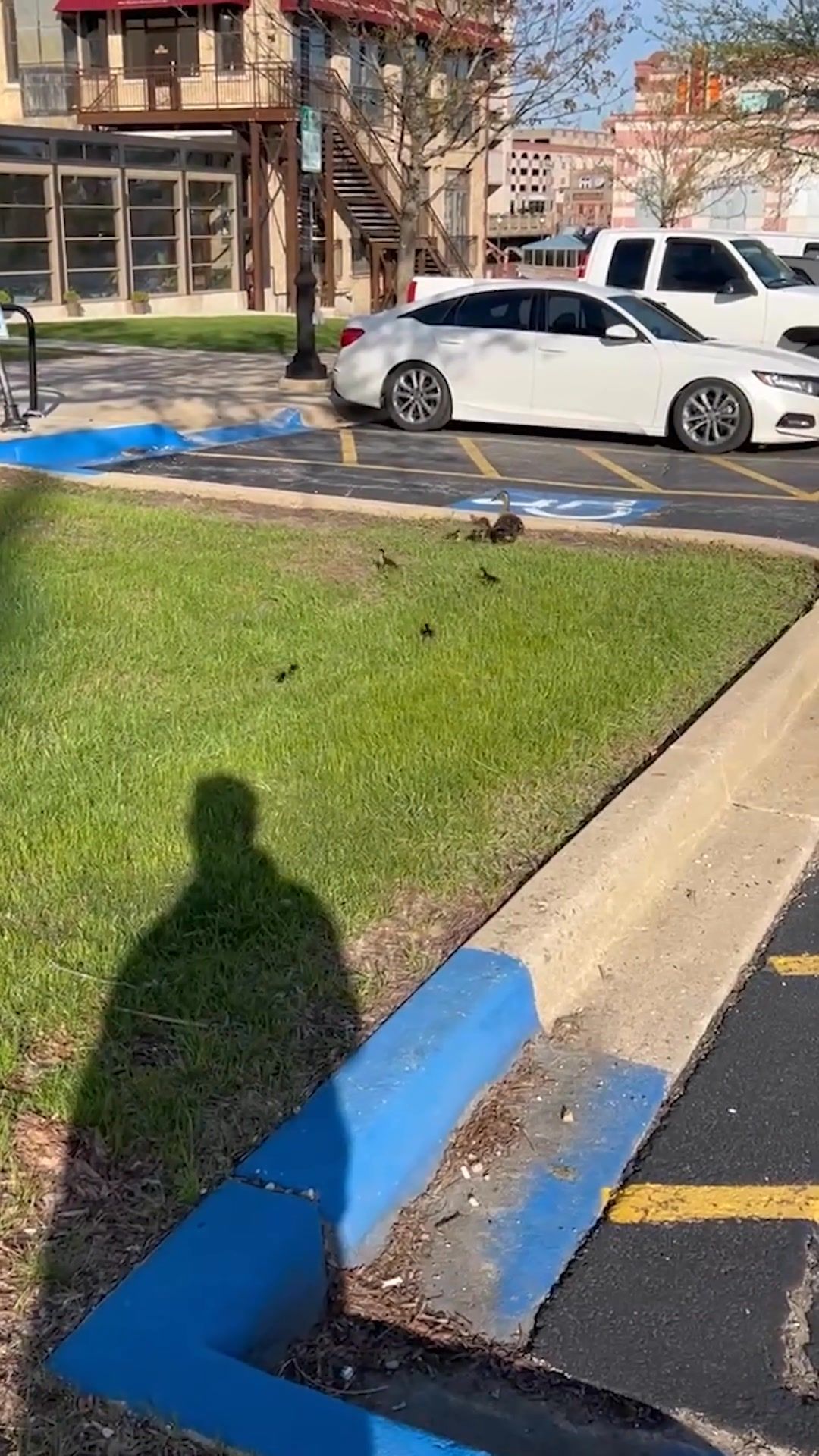 Video post by @AuroraFireIL on Facebook