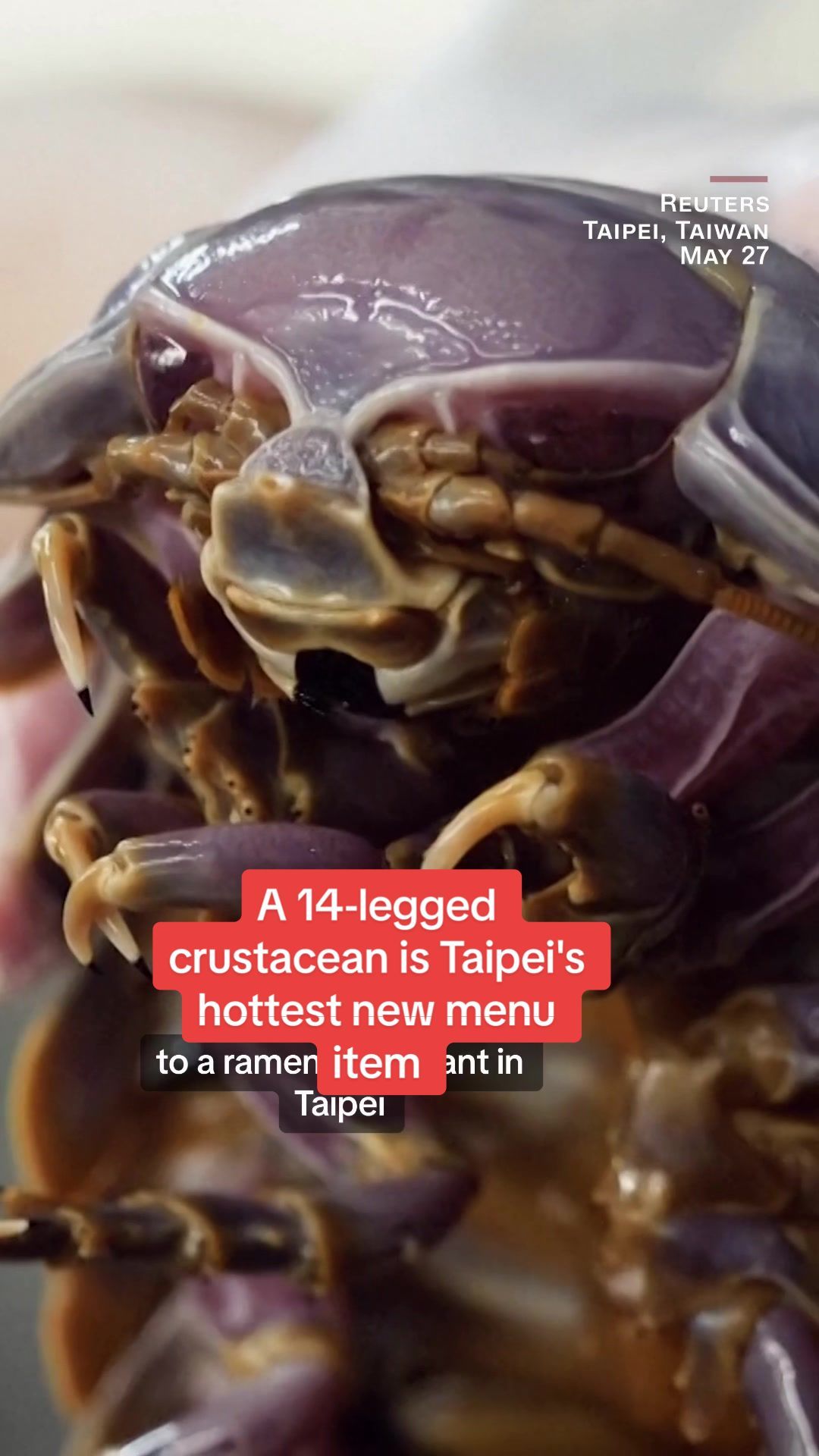 Video post by @cnn on TikTok